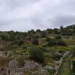 Comfortable With Unique Views