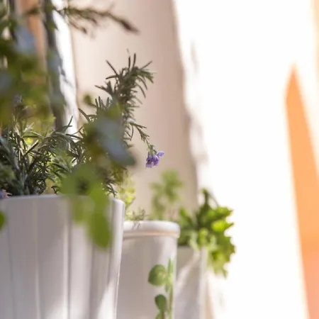 Comfortable With Unique Views Casa vacanze