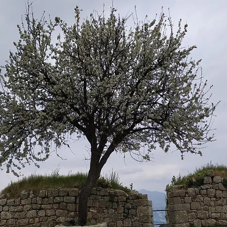 Comfortable With Unique Views