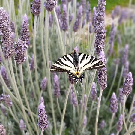 Comfortable With Unique Views * Corinto