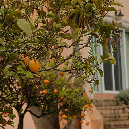 Comfortable With Unique Views Corinth