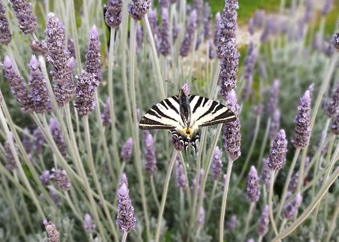 Comfortable With Unique Views * Corinth