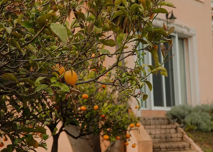 Comfortable With Unique Views Corinth